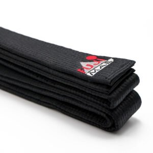 Ceinture Arts Martiaux Legacy. SR