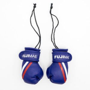 Replica Gants Boxe FUJIMAE
